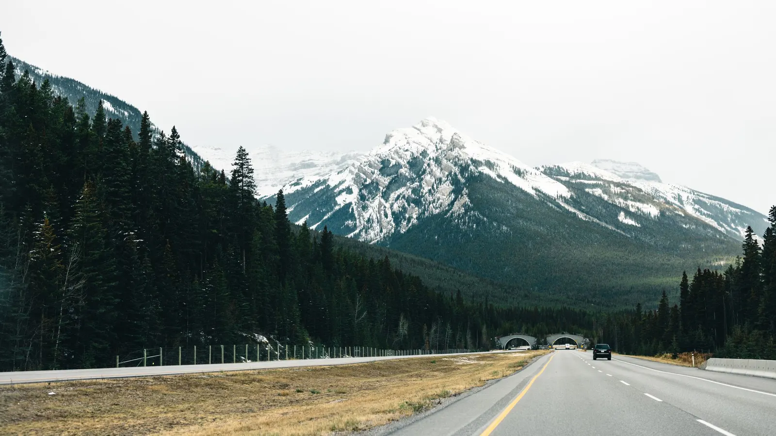 A two-lane highway running through dark pine forest toward a snow-capped mountain, with a single car ahead
