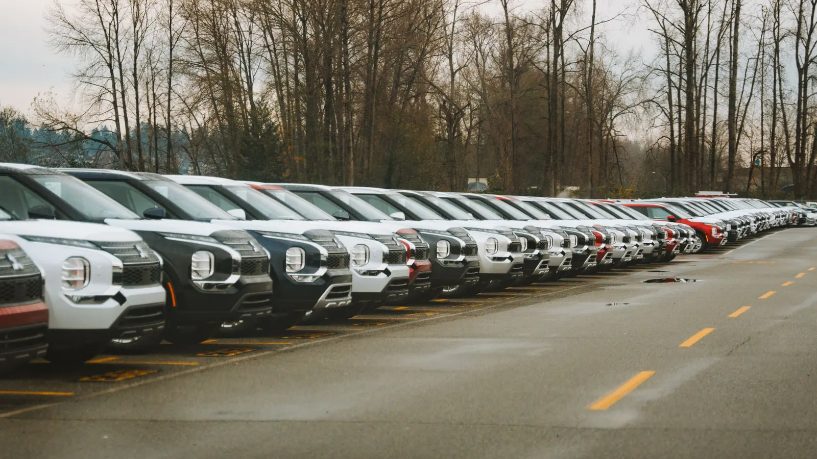 A long row of white, black, and red SUVs parked side by side along a wet road lined with bare trees